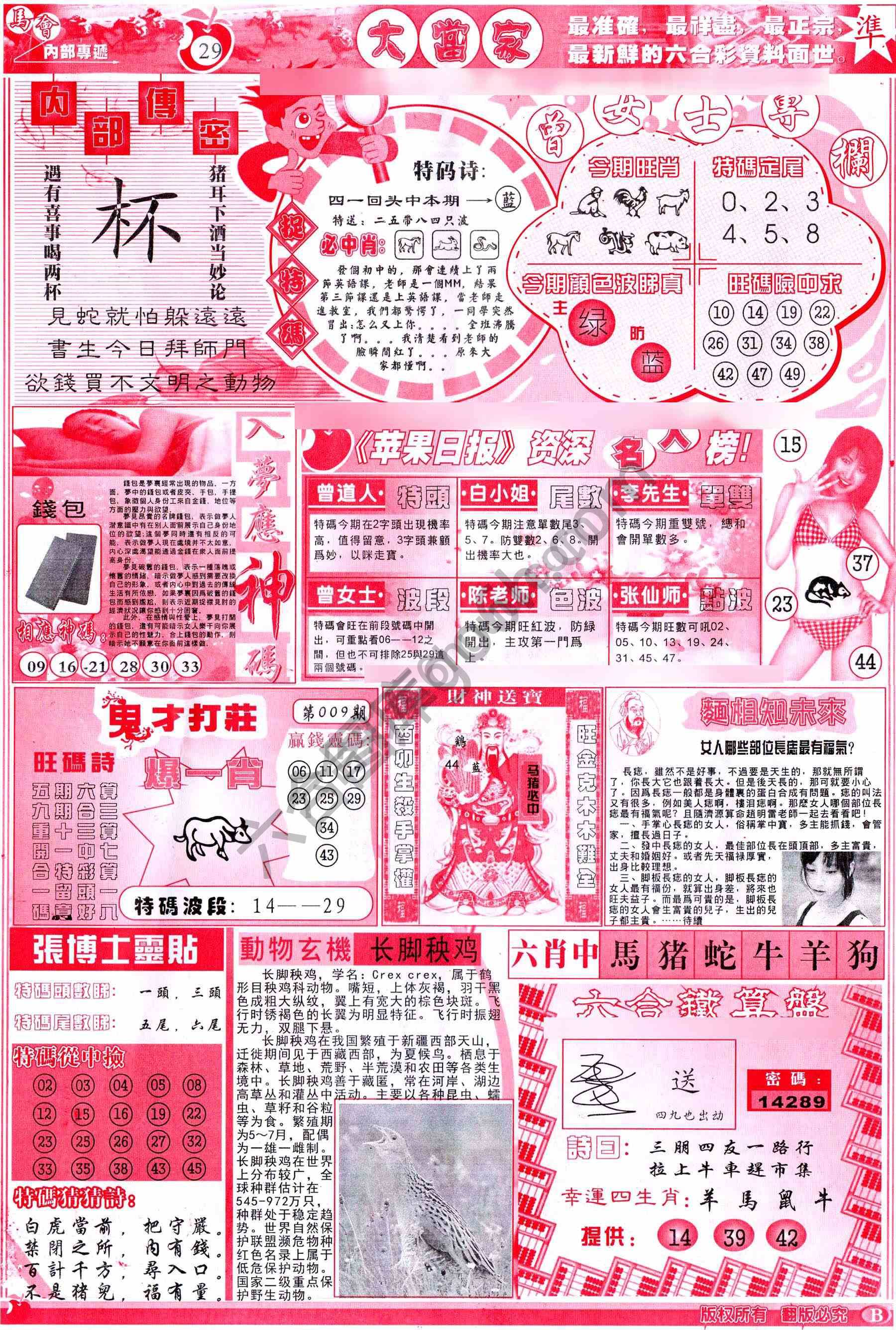 大当家