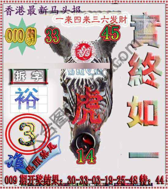 香港马头报
