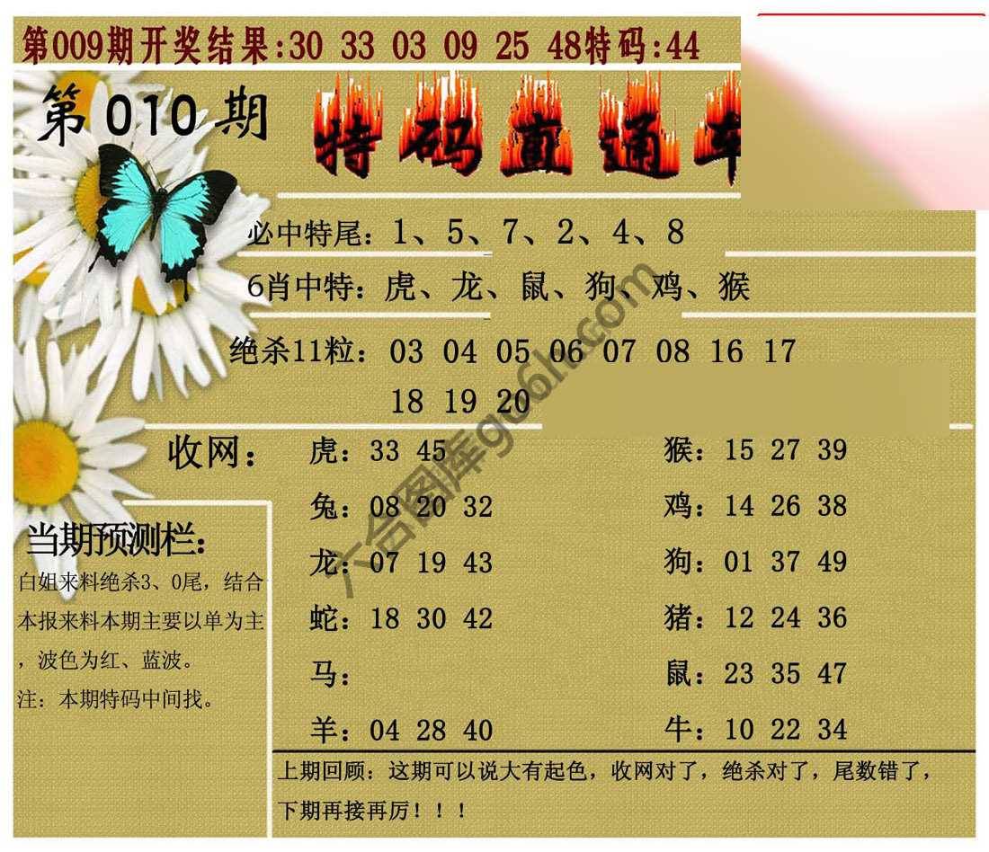 特码直通车