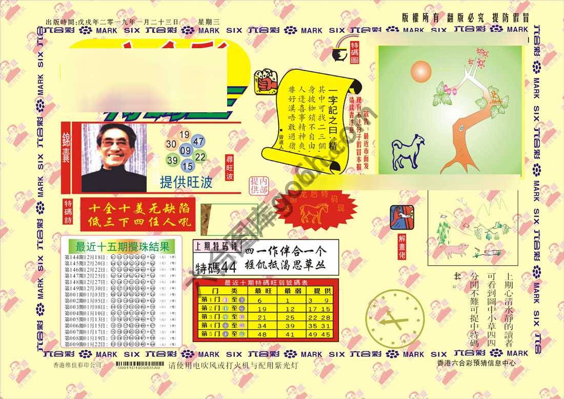 特码王