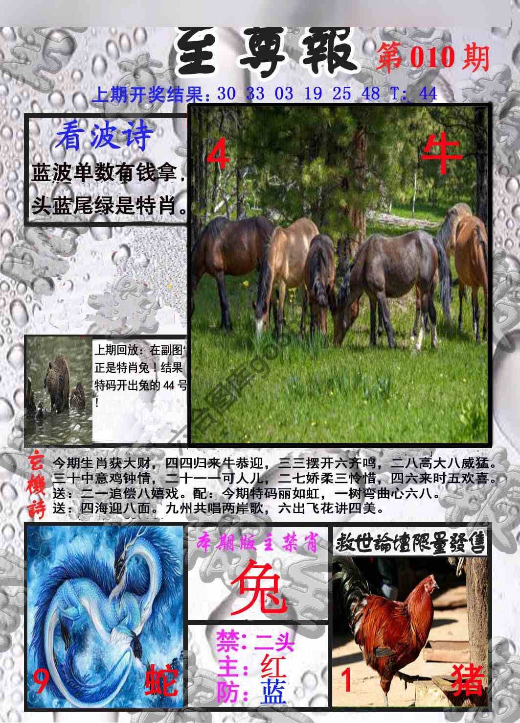 至尊报