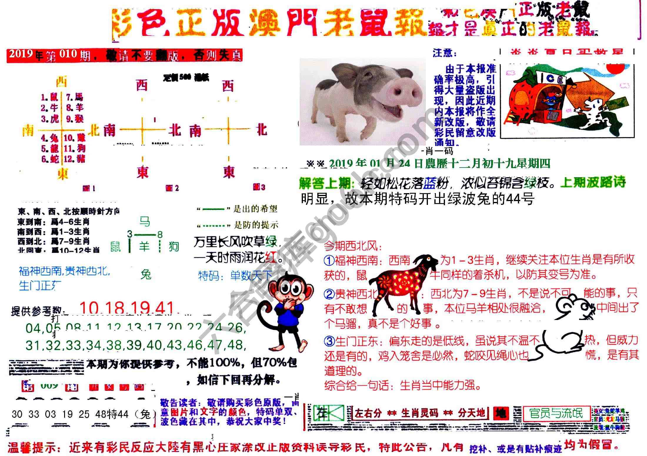 澳门老鼠报