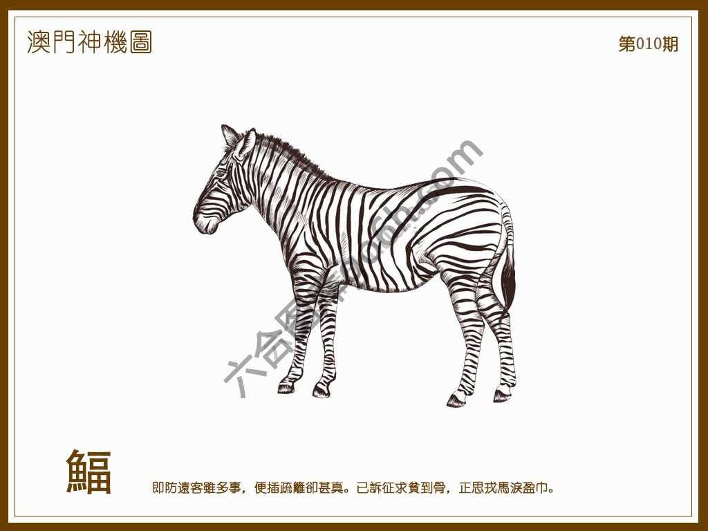 澳门神机图