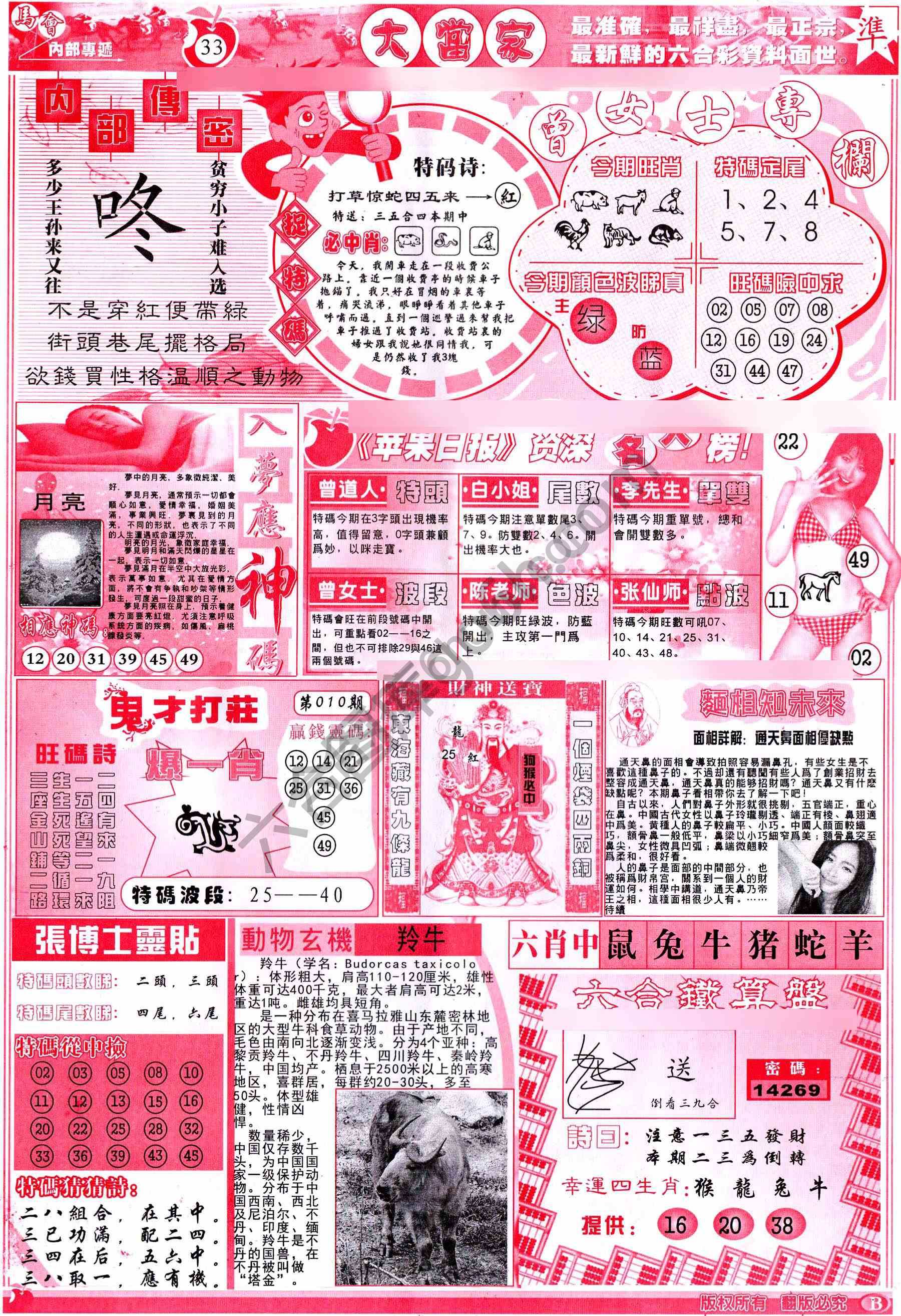 大当家