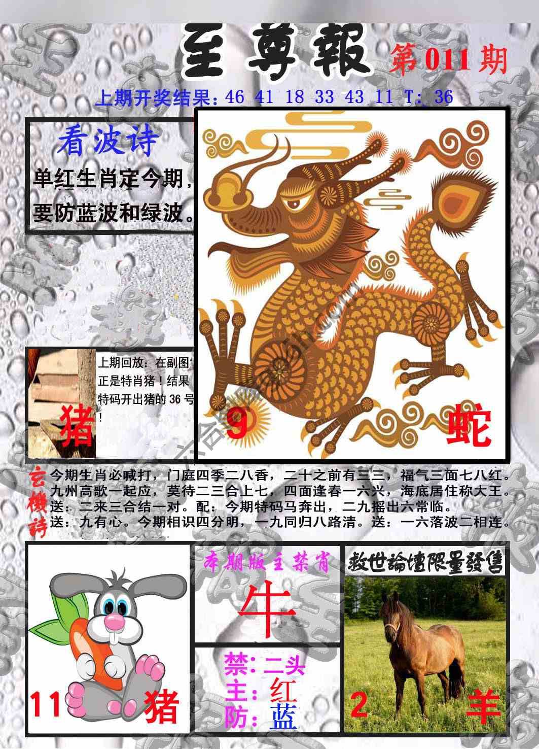 至尊报