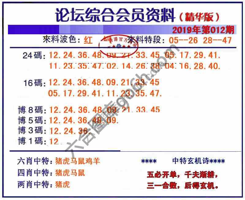 综合会员资料