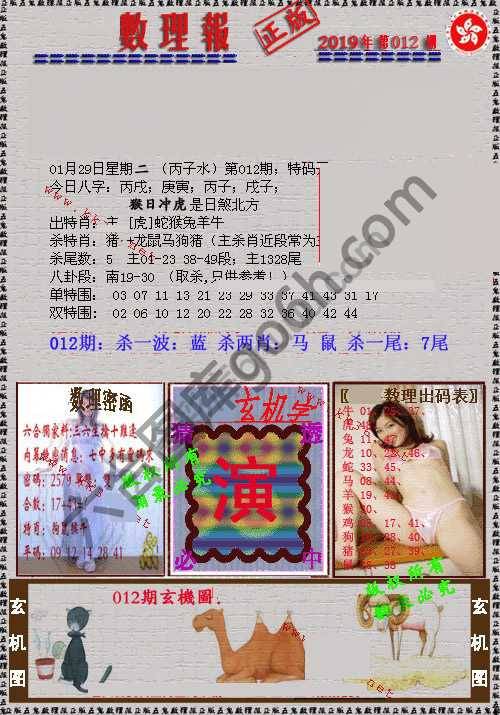 数理报