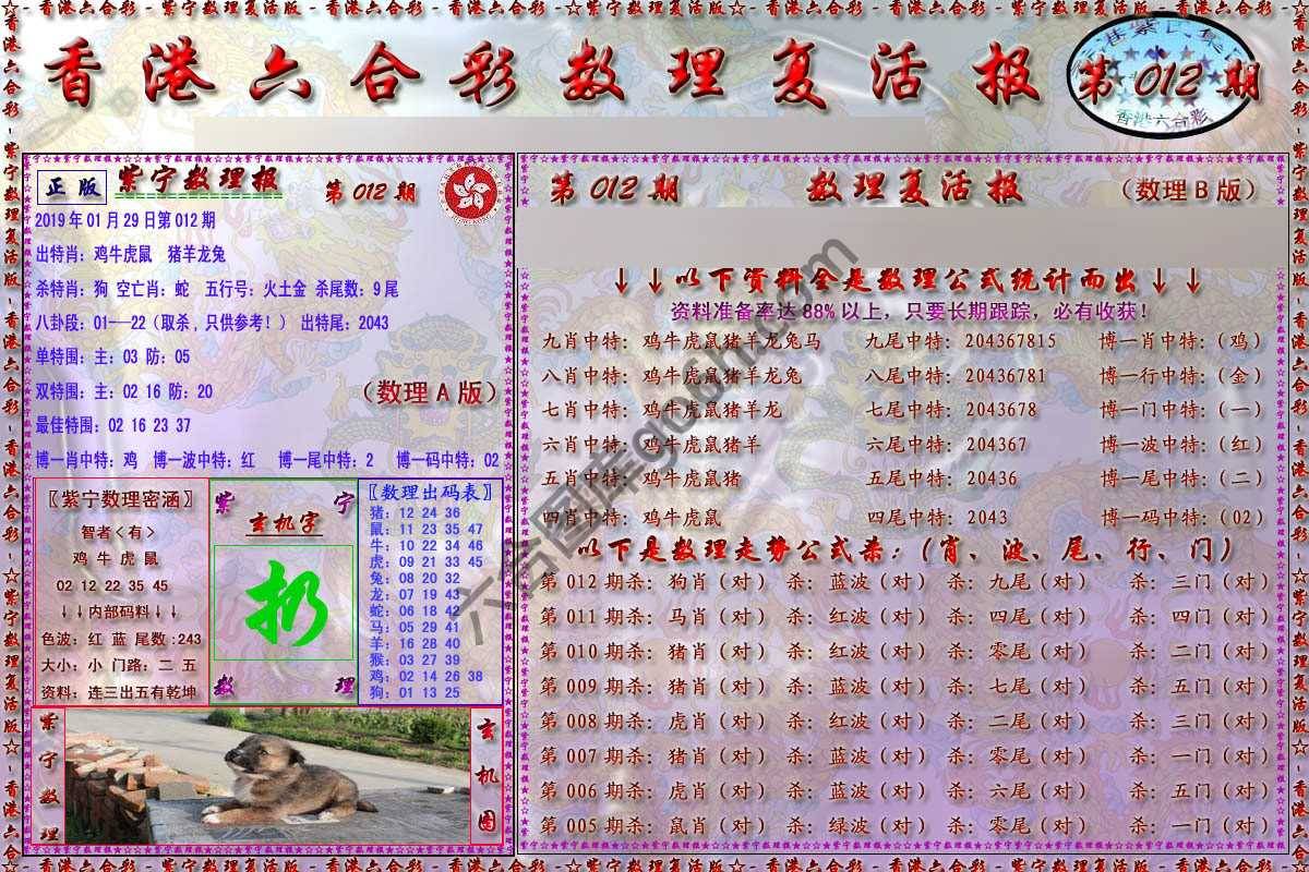 数理复活报