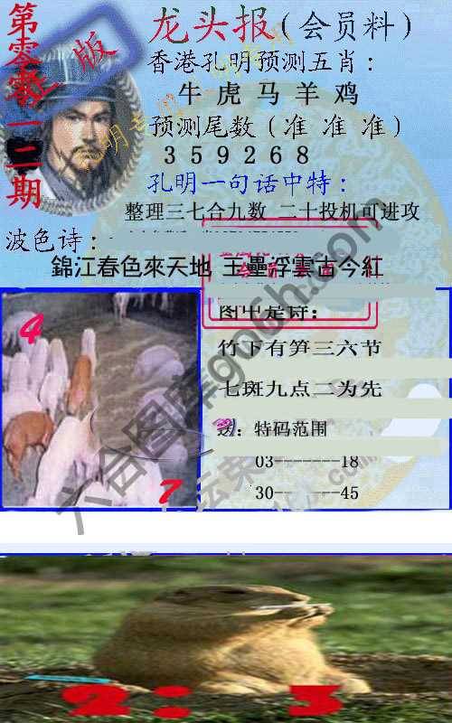 龙头报