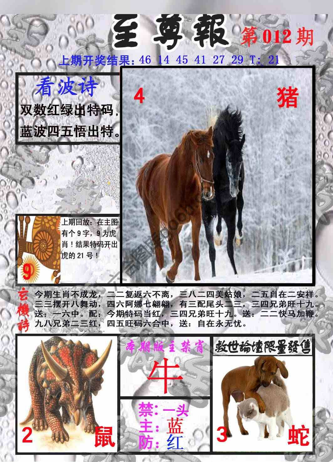 至尊报