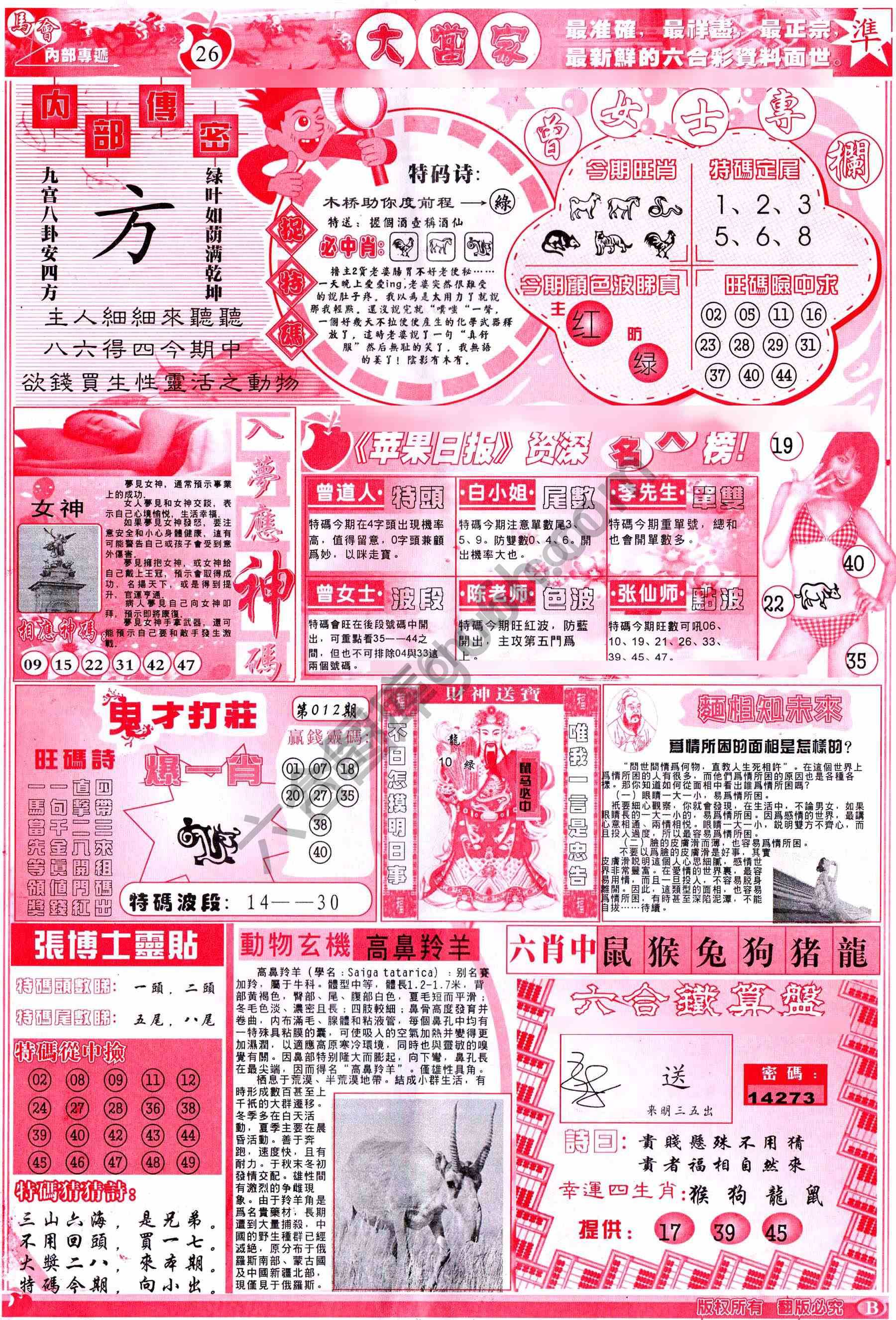 大当家