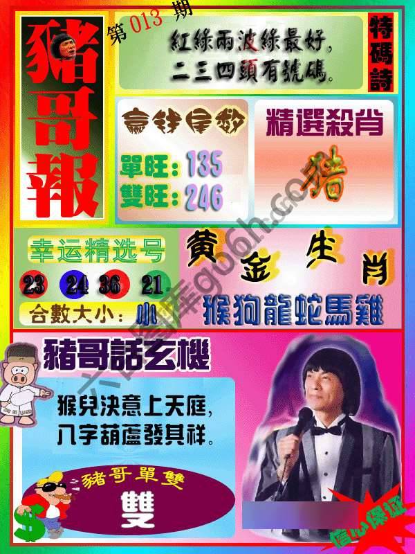 猪哥报
