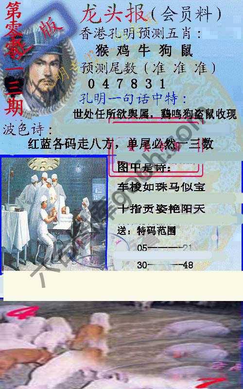 龙头报