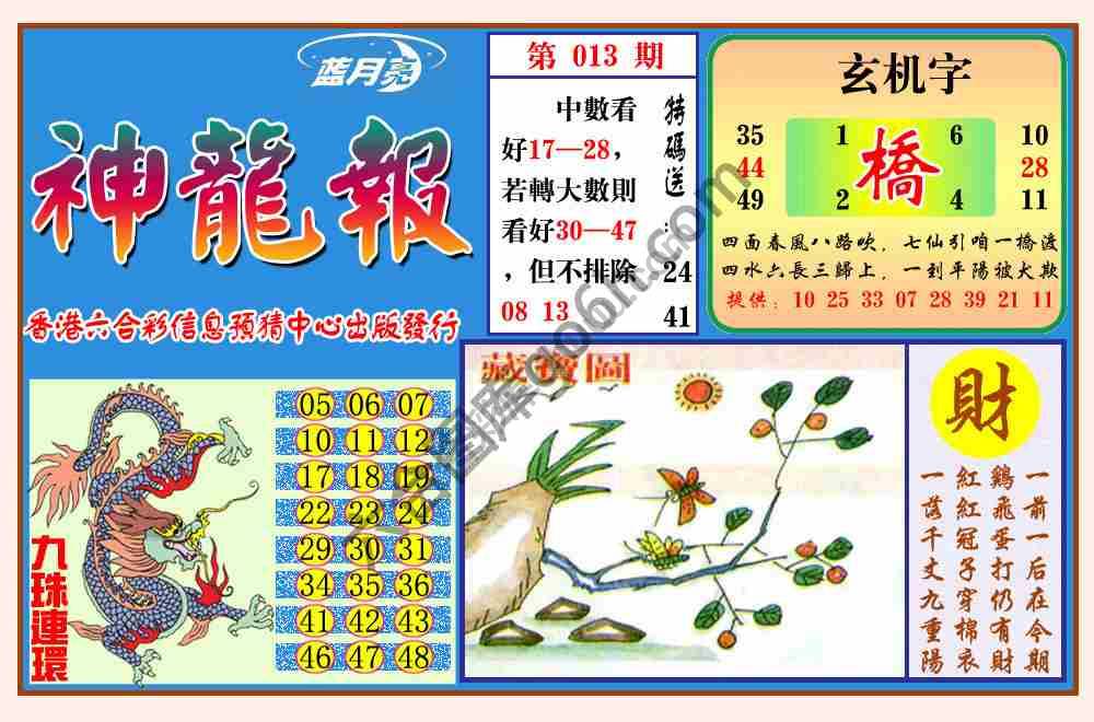 蓝月亮神龙报