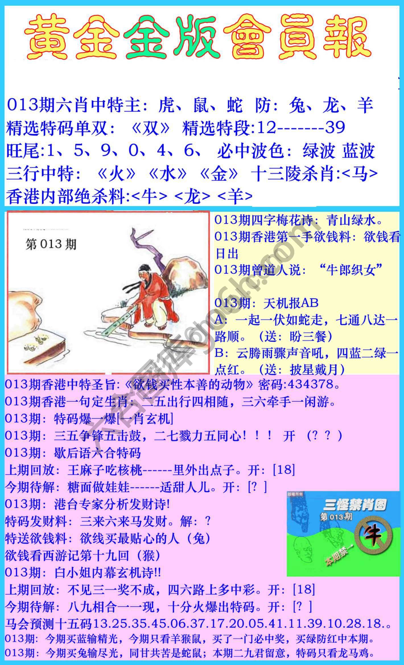 黄金金版会员报