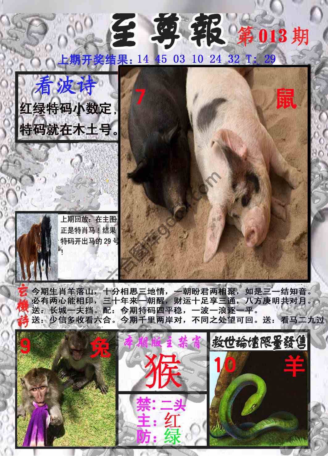 至尊报