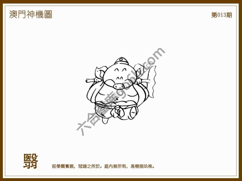 澳门神机图