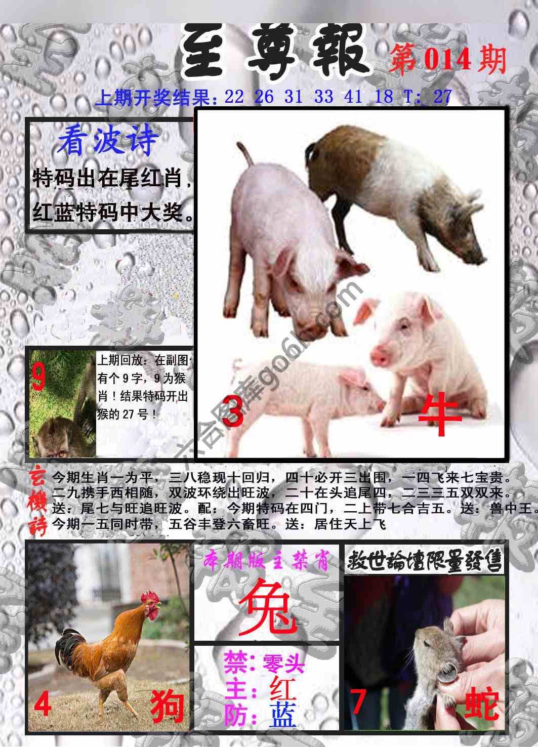 至尊报