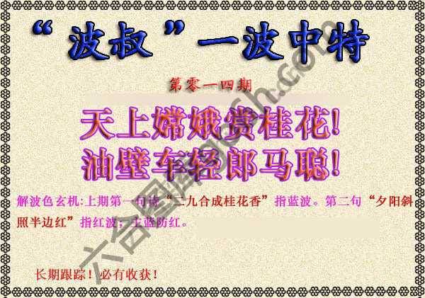 波叔一波中特
