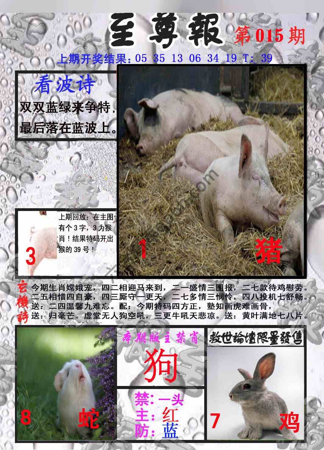 至尊报