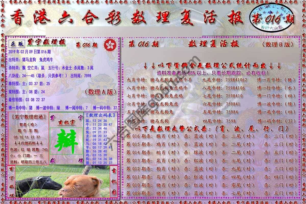 数理复活报
