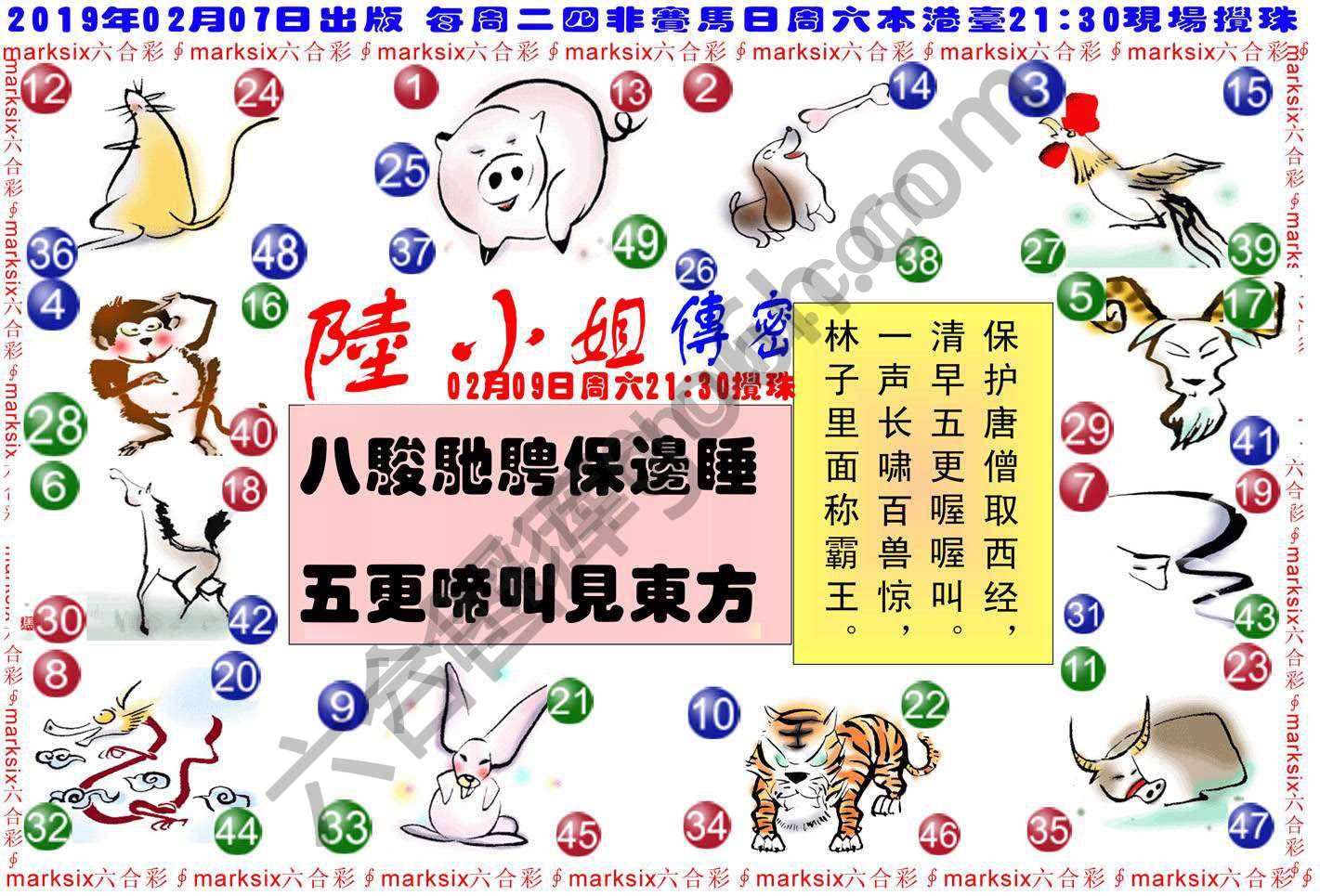 陆小姐传密