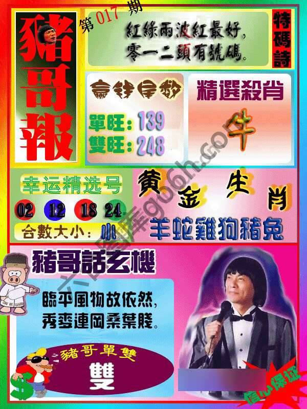 猪哥报