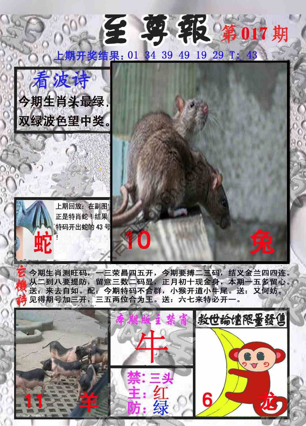 至尊报