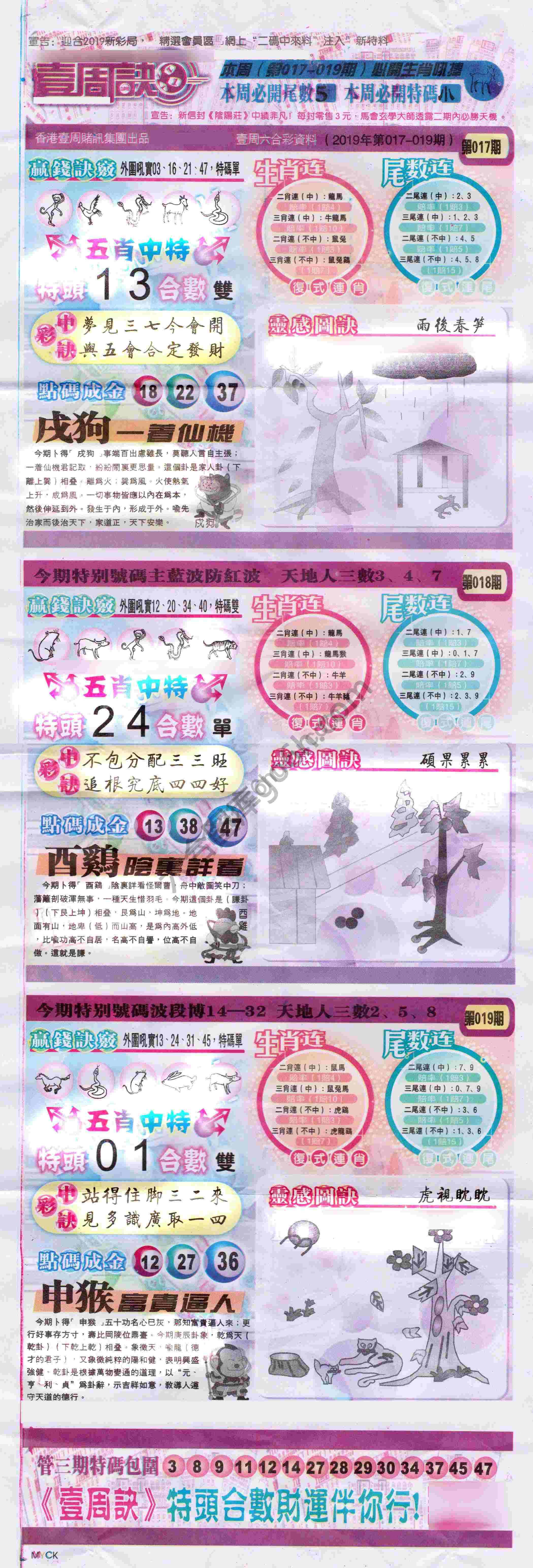一周决