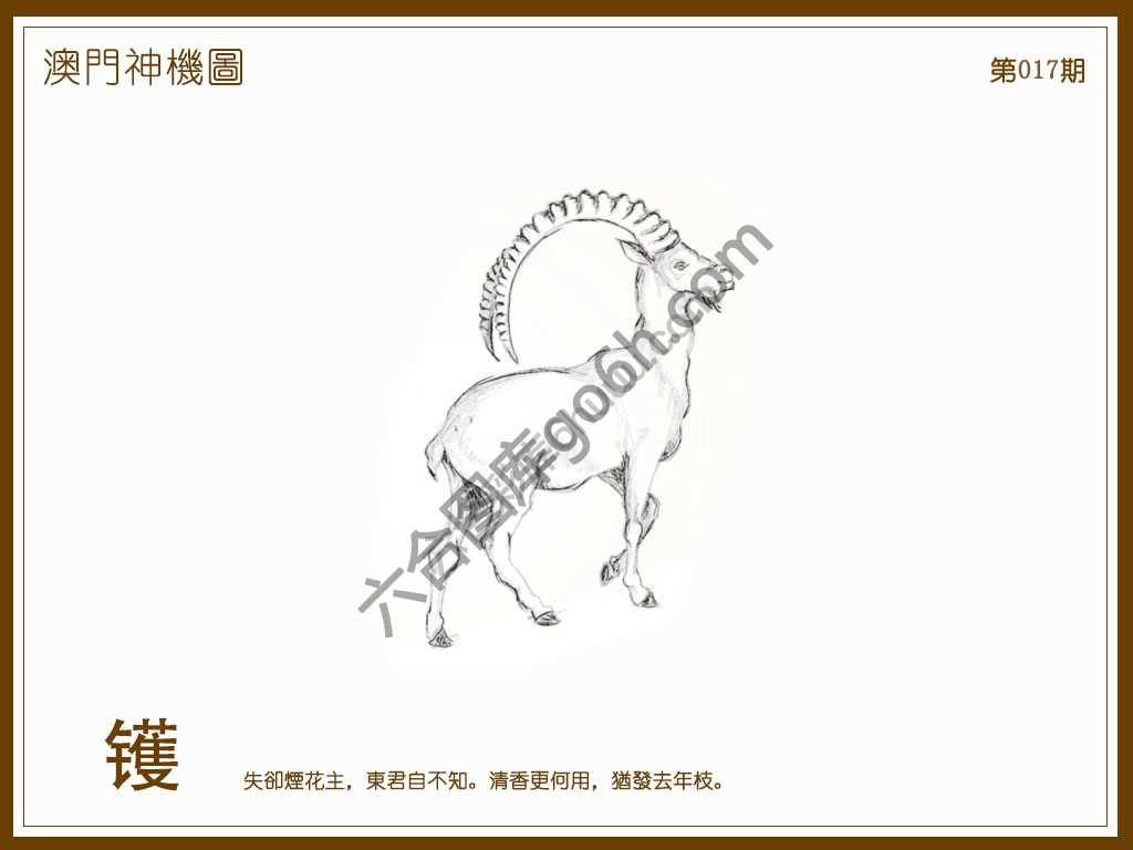 澳门神机图