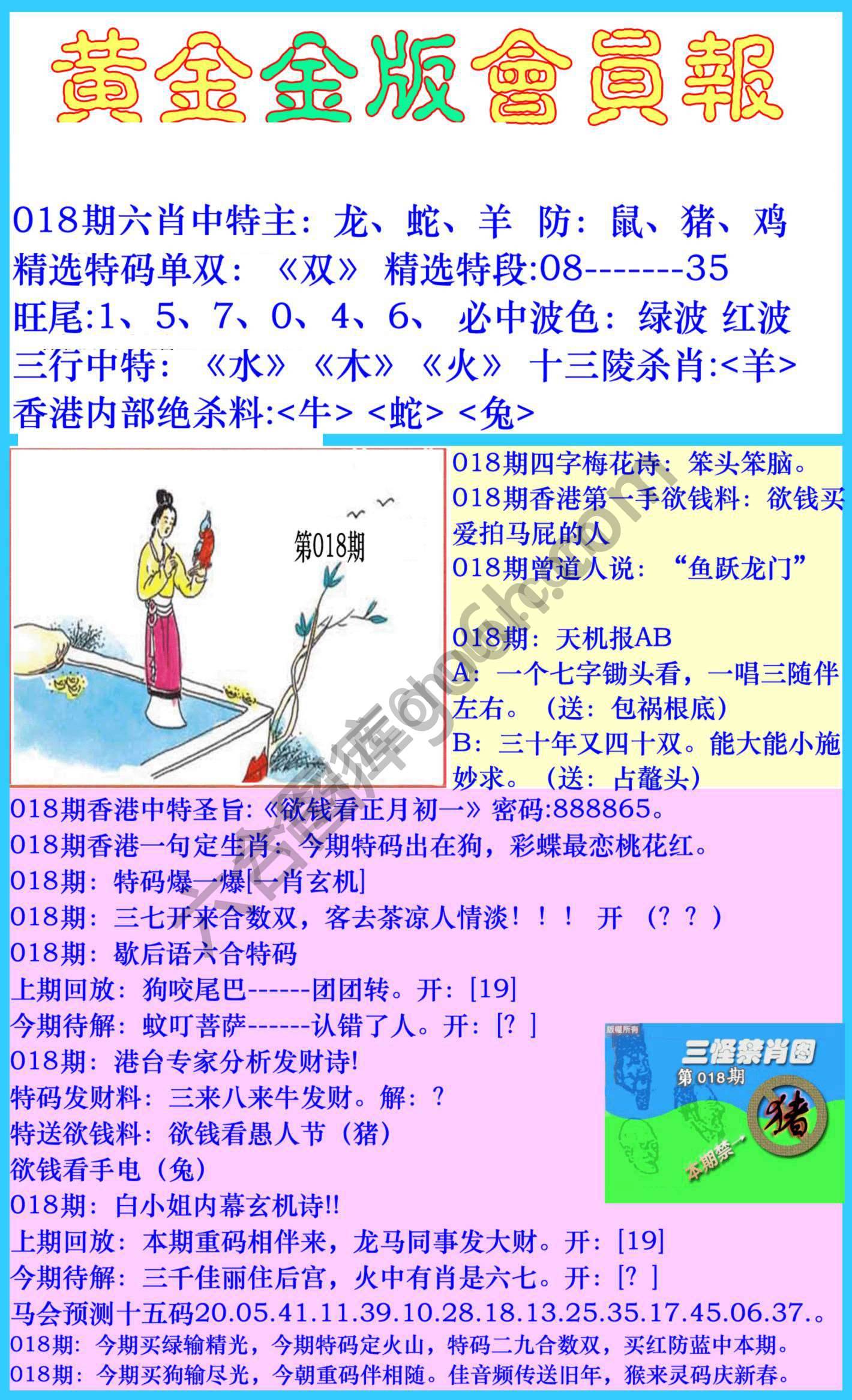 黄金金版会员报