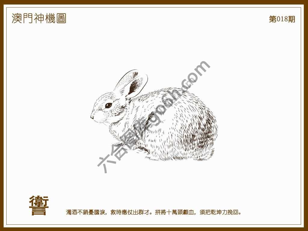 澳门神机图
