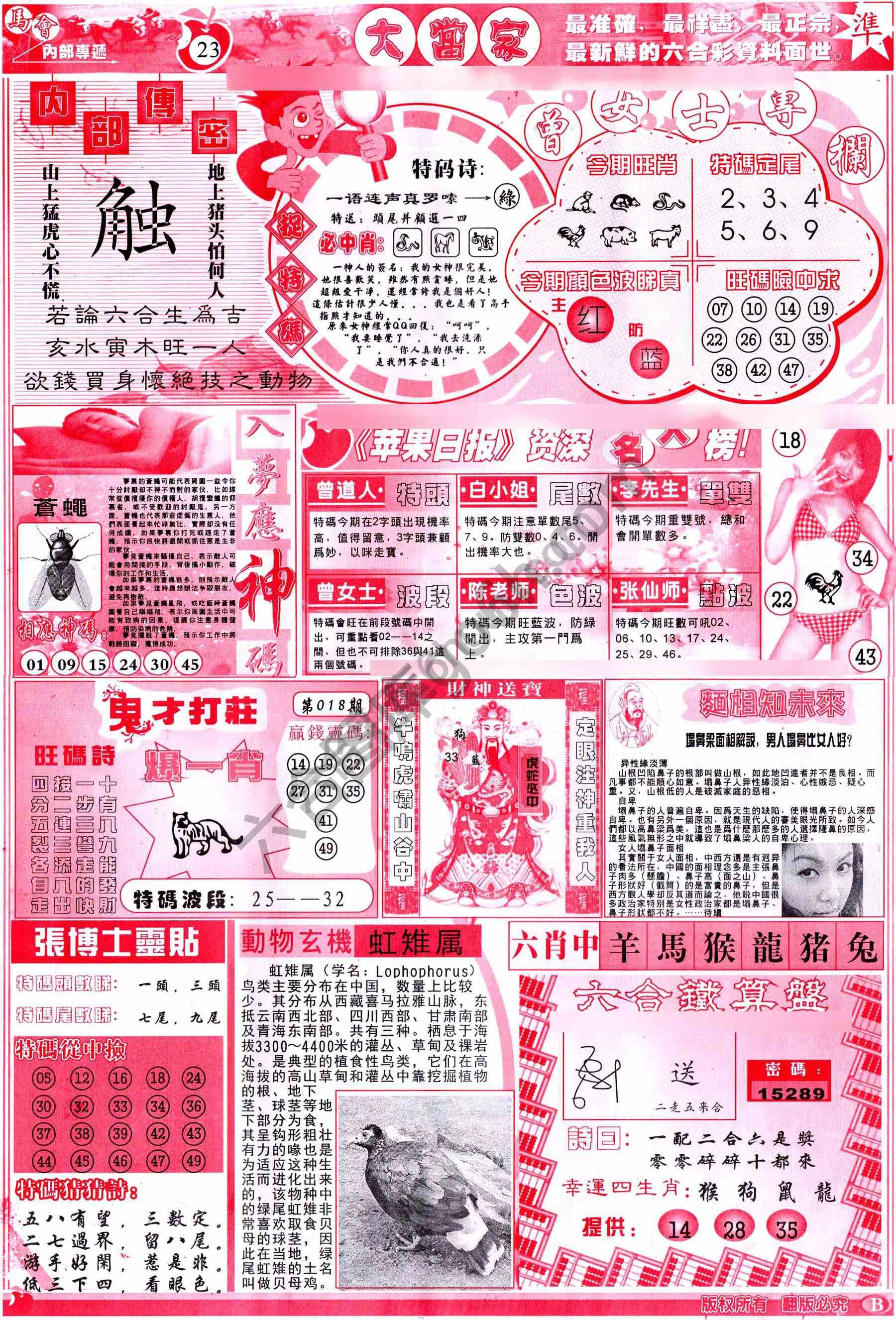 大当家