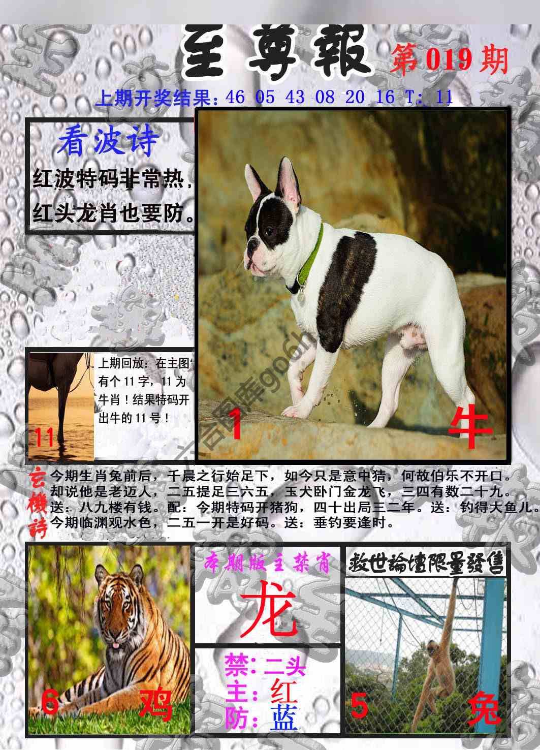 至尊报