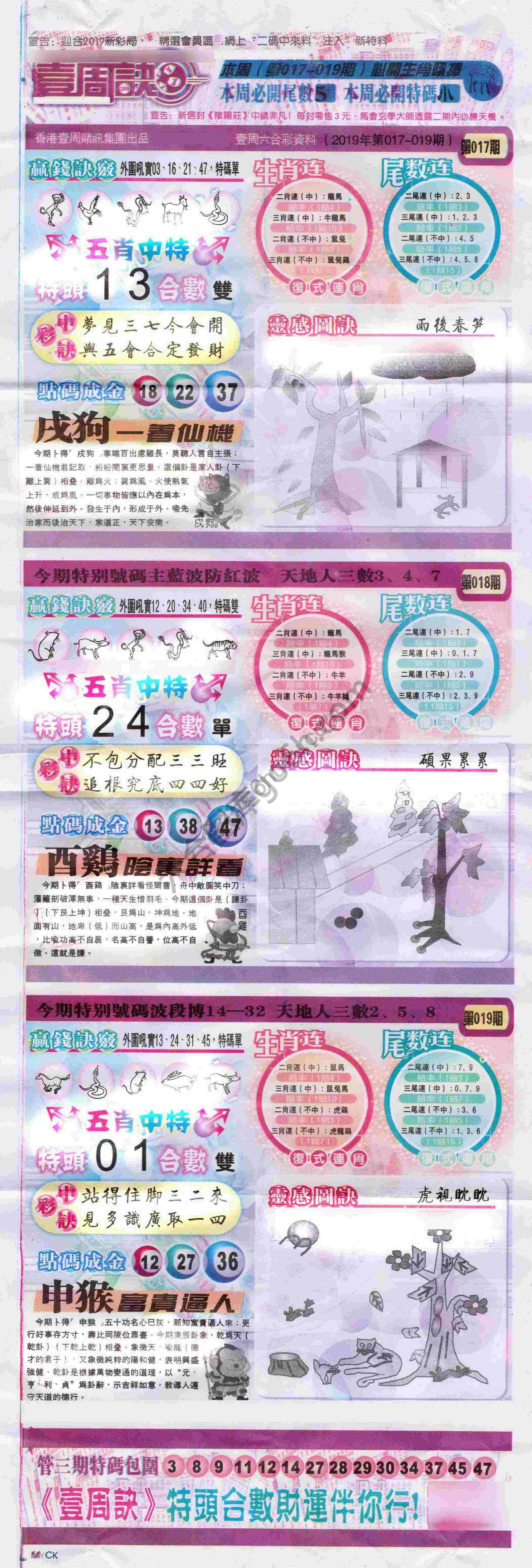 一周决