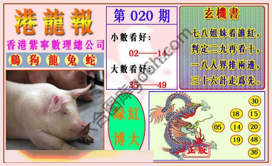 港龙报