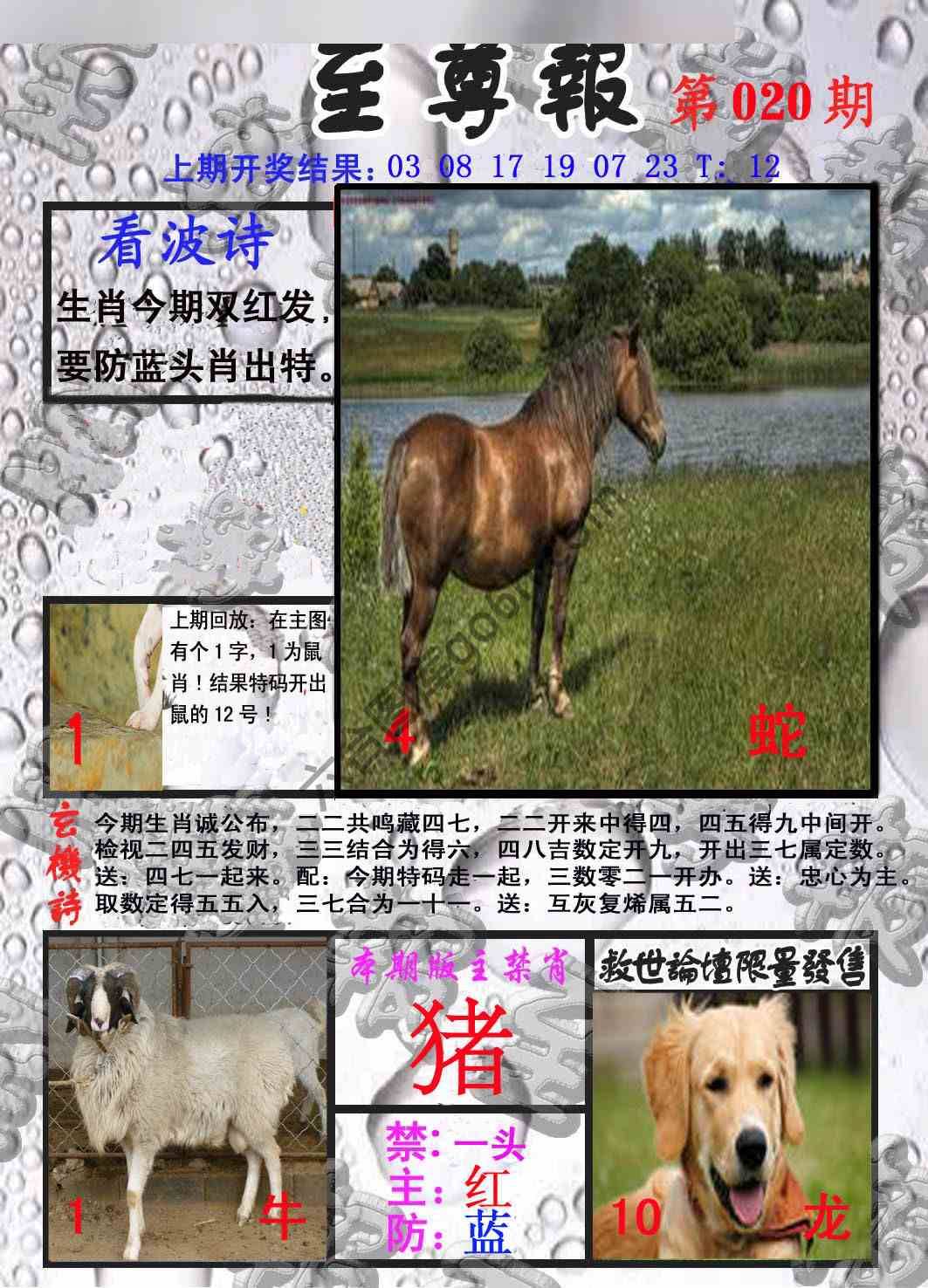 至尊报