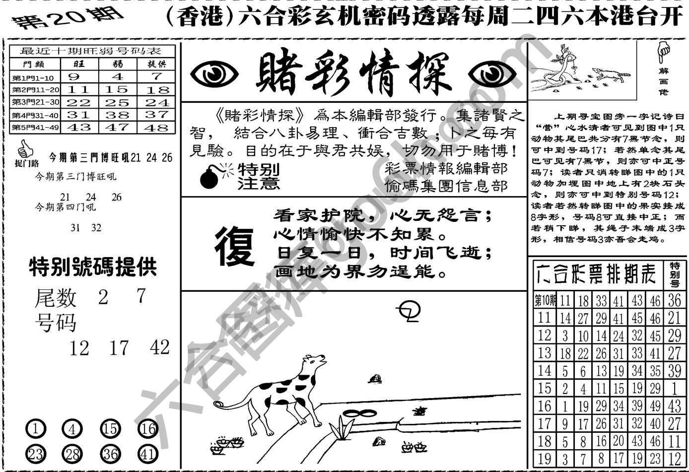 赌彩情探