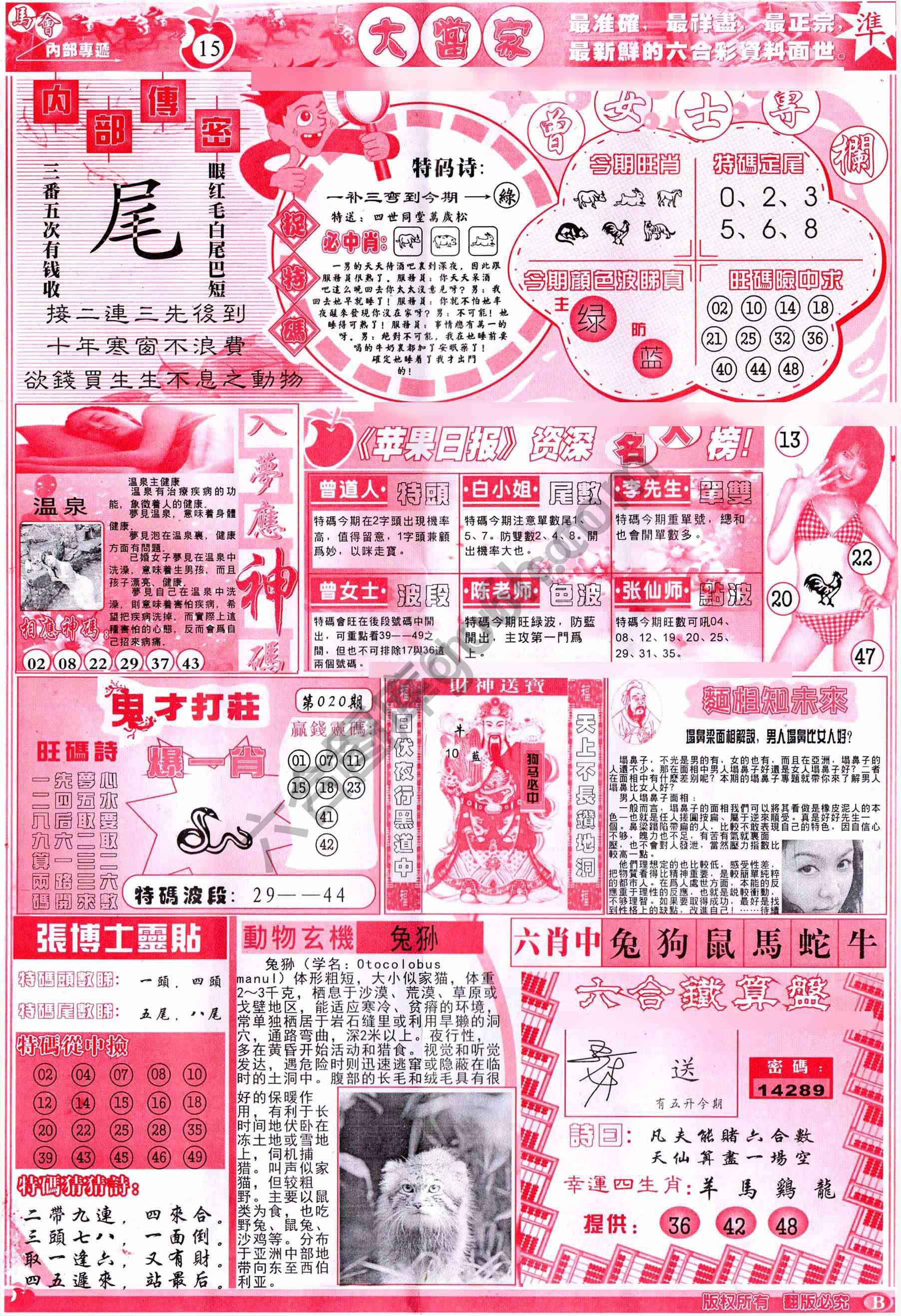 大当家