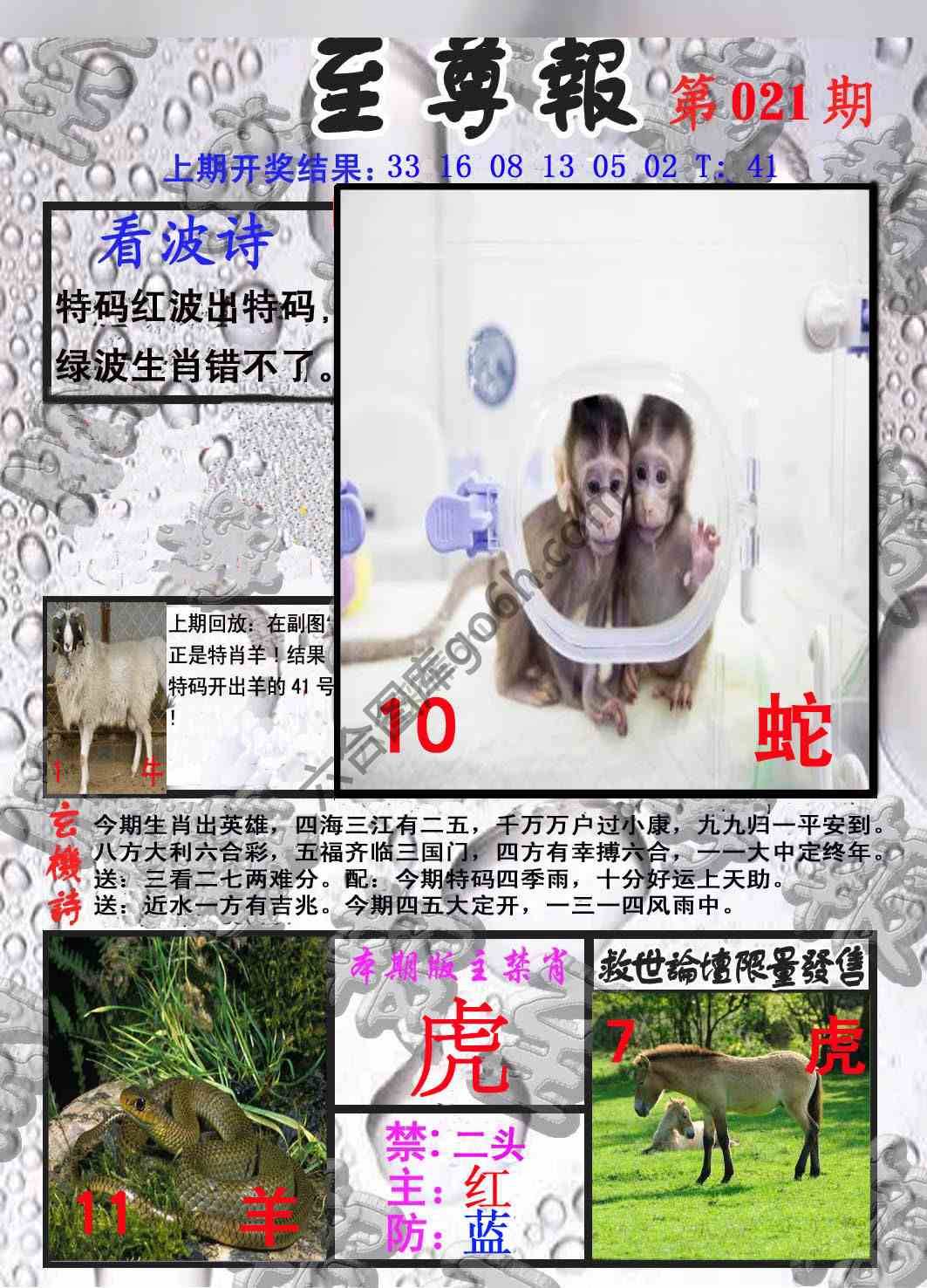 至尊报