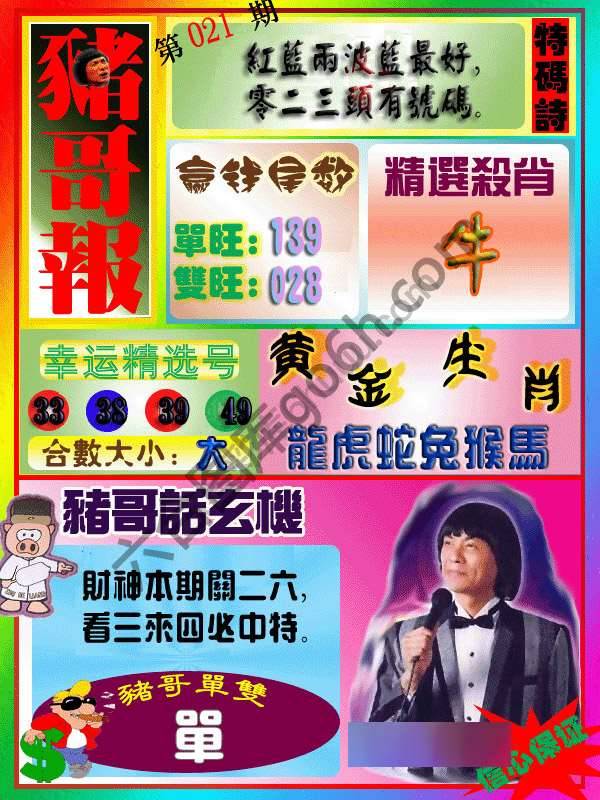 猪哥报