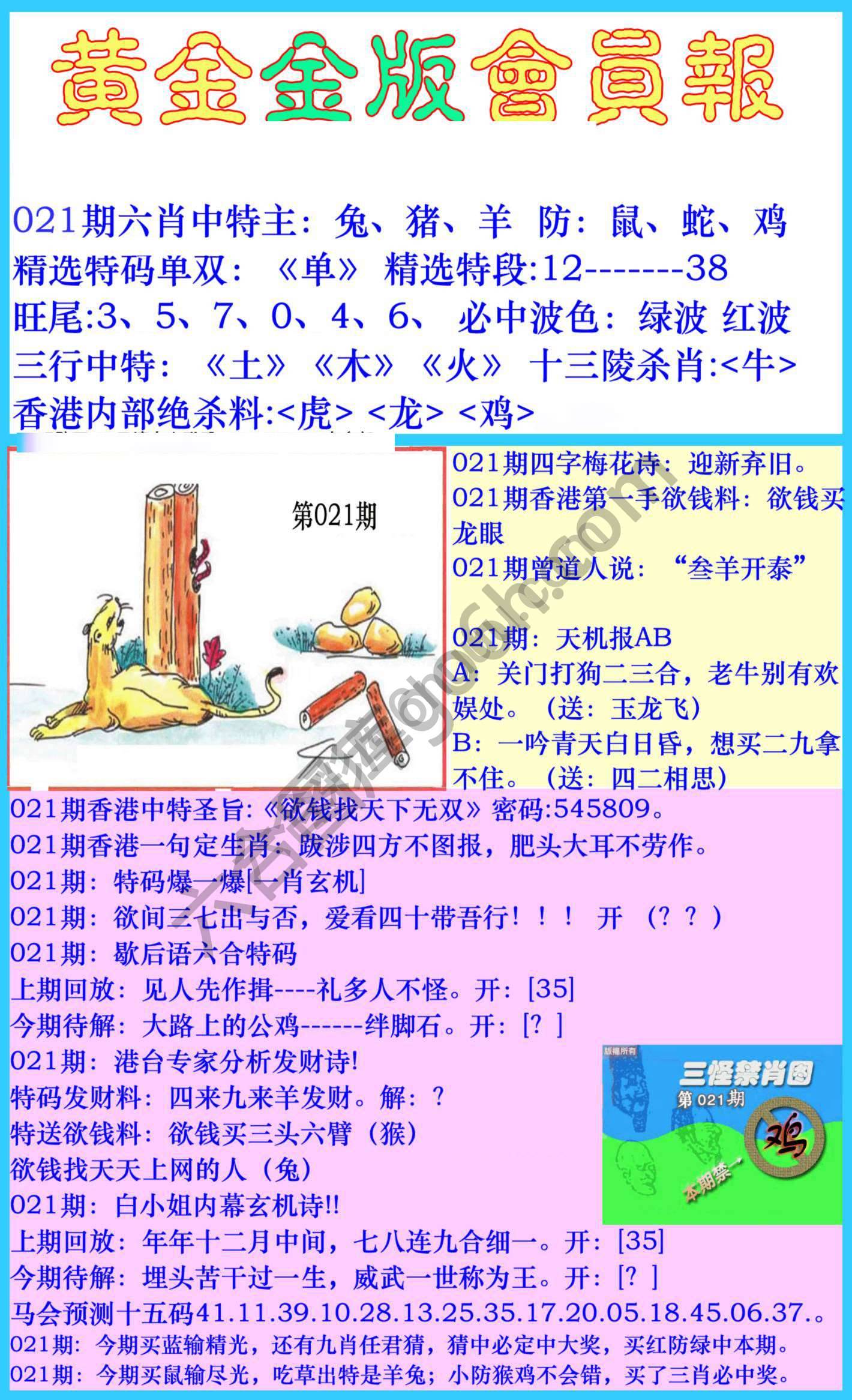 黄金金版会员报