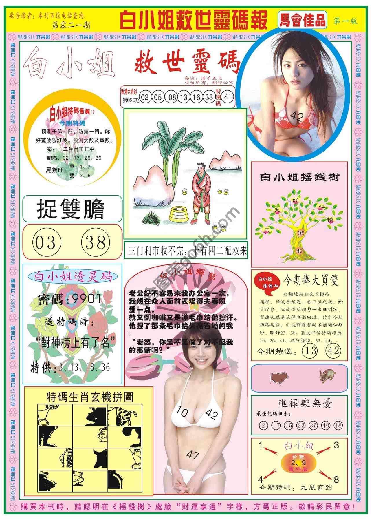 白小姐救世灵码报