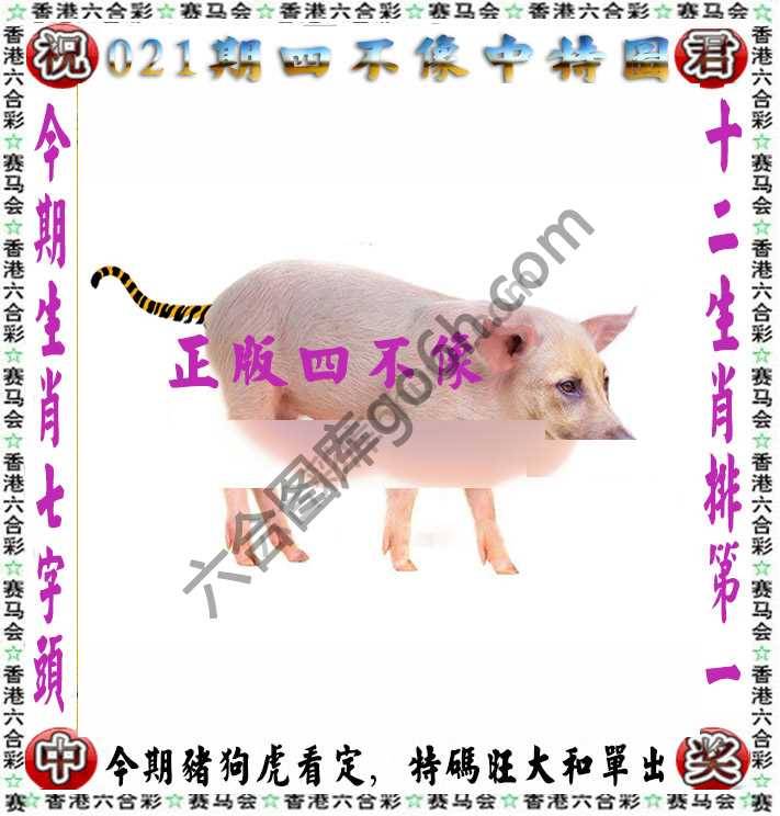 四不像中特图