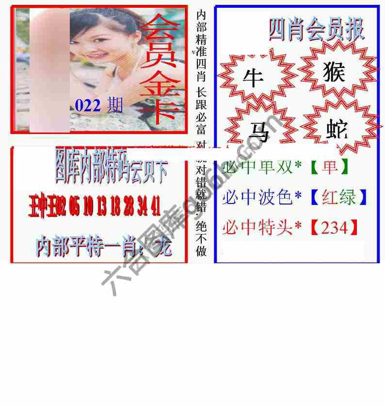 马经四肖会员报