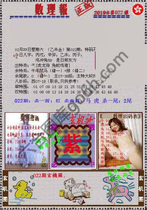 数理报