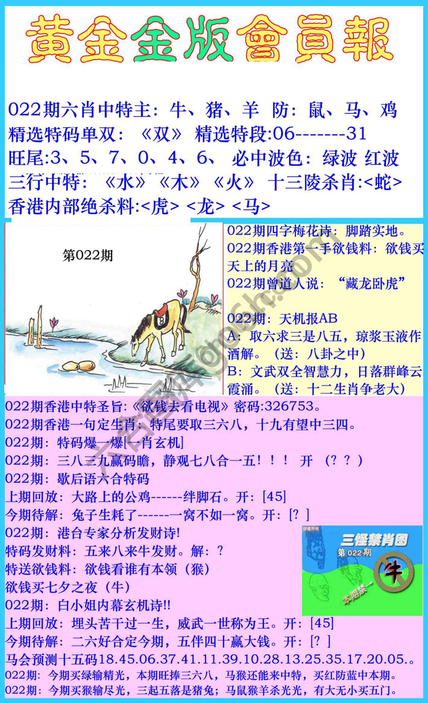 黄金金版会员报