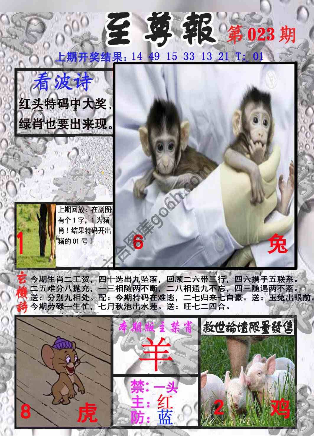 至尊报