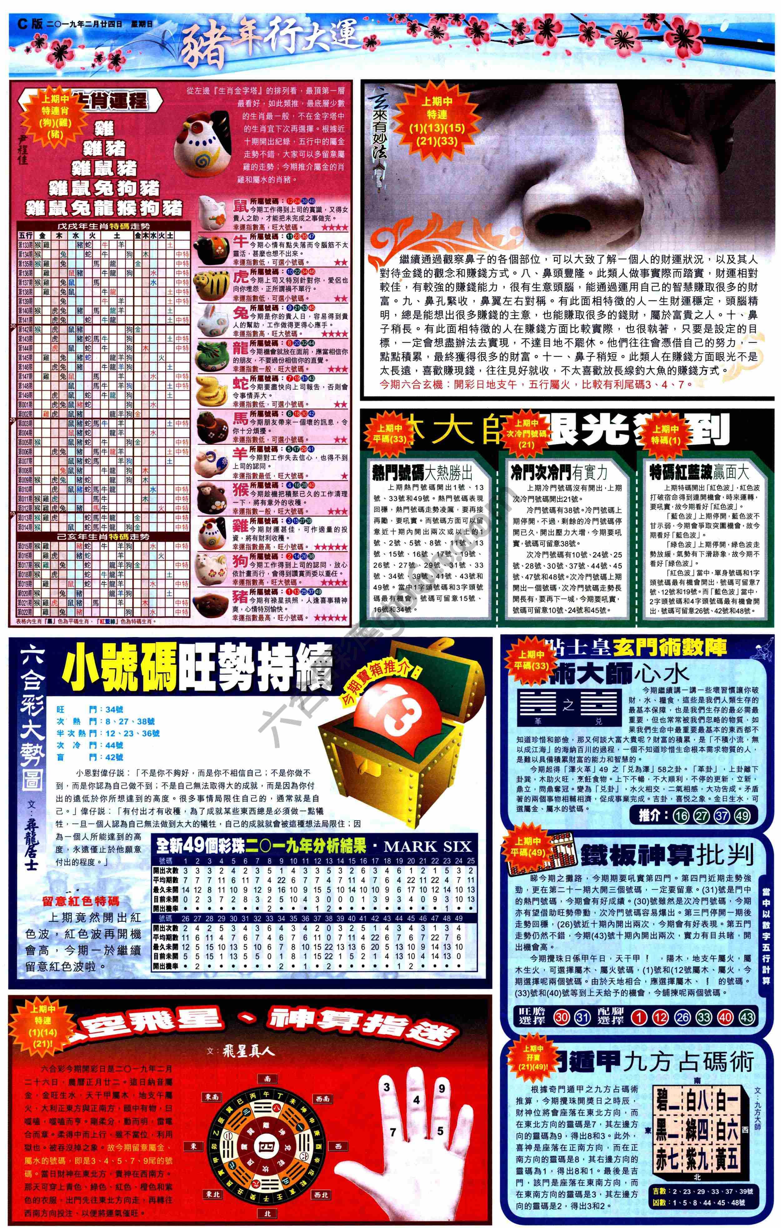 大版贴士皇