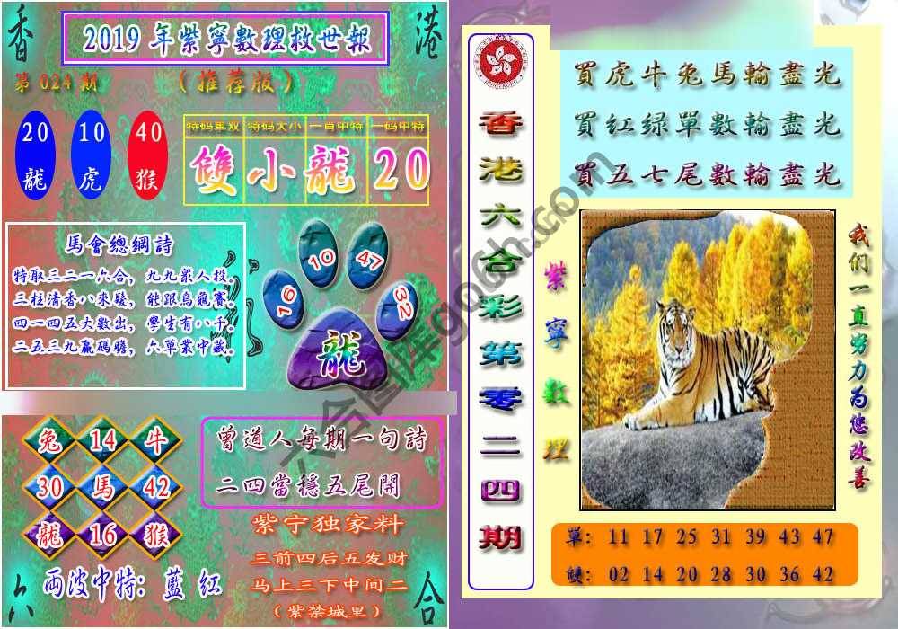数理救世报